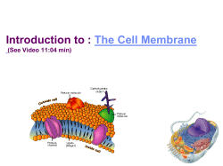 PPT #2 Membrane Diffusion Water 2014 with movies