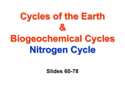 Biogeochemical Cycles