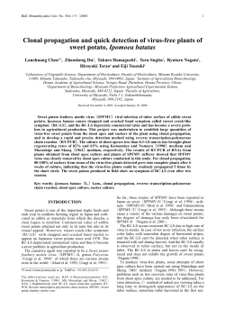 Clonal propagation and quick detection of virus