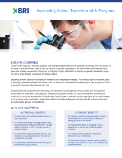 Improving Animal Nutrition with Enzymes