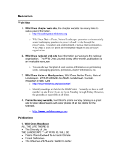 Web Sites - Wild Ones