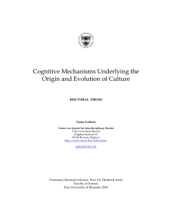 Cognitive Mechanisms Underlying the Origin and Evolution of Culture