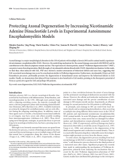 Protecting Axonal Degeneration by Increasing Nicotinamide