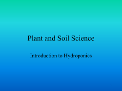 Plant and Soil Science