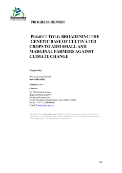 3. Progress Report - MARLO