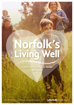 Public Health Strategy - Norfolk County Council