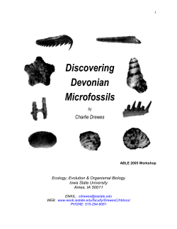 (Devonian) Microfossils - Department of Ecology, Evolution, and