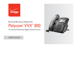 Polycom&reg;VVX&reg; 300