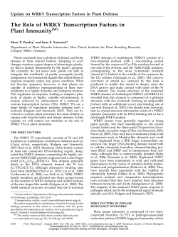 The Role of WRKY Transcription Factors in Plant