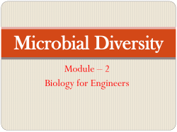 Microbial Diversity - f
