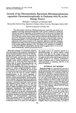 Growth of the Photosynthetic Bacterium Rhodopseudomonas