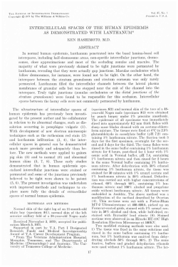 Intercellular Spaces of the Human Epidermis as