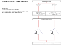 Probability of Observing a Quantity or Proportion