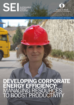 developing corporate energy efficiency: managing