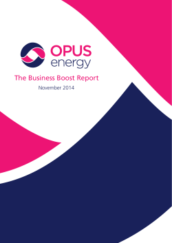 The Business Boost Report