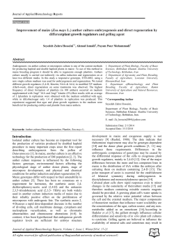 Improvement of maize (Zea mays L.)