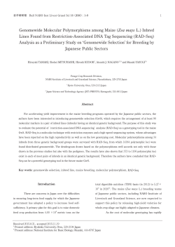 Genomewide Molecular Polymorphisms among Maize (Zea mays L