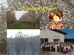 Success With Renewable Energy: Ethanol From Waste Fruit