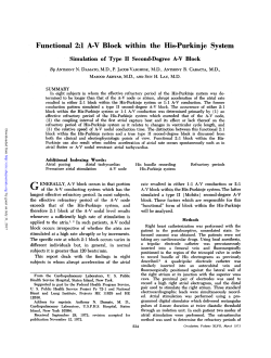 Functional 2:1 AV Block within the His-Purkinje System