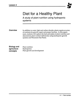 Diet for a Healthy Plant
