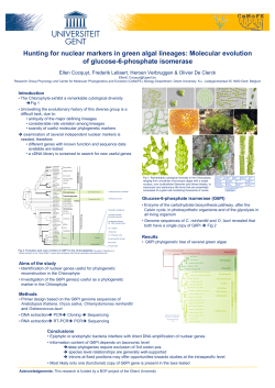 Hunting for nuclear markers in green algal lineages: Molecular