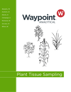 Plant Tissue Sampling