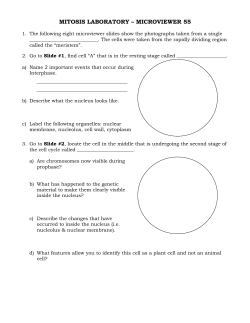 MITOSIS LABORATORY &ndash; MICROVIEWER 55