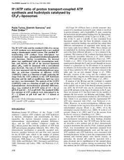 H+/ATP ratio of proton transportcoupled ATP synthesis and