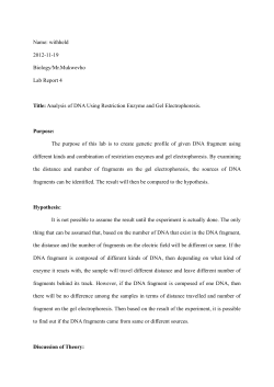 Example Lab Report