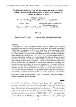 Hydroxy cinnamic acid and Caffeic acid on Adventitious Root