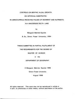Controls on benthic algal growth on artificial substrates in
