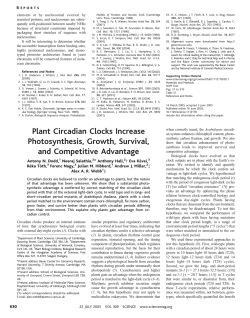 Plant Circadian Clocks Increase Photosynthesis