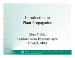 Introduction to Plant Propagation