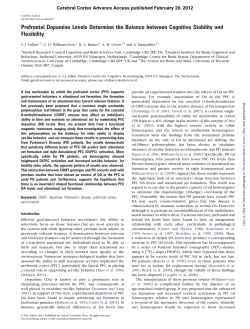 Prefrontal Dopamine Levels Determine the Balance