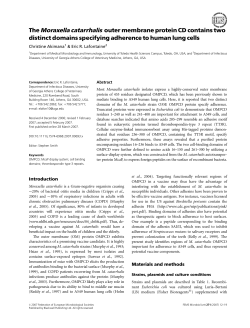 The Moraxella catarrhalis outer membrane protein CD contains two