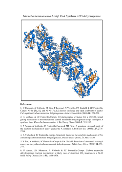 Moorella thermoacetica Acetyl CoA Synthase / CO dehydrogenase