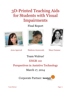 For students with visual impairments