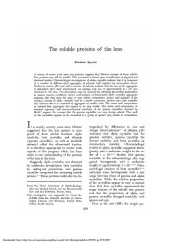 The Soluble Proteins of the Lens