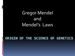 Origin of the Science of genetics