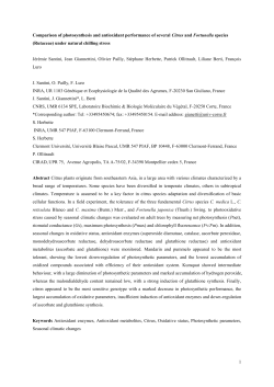 Comparison of photosynthesis and antioxidant performance of