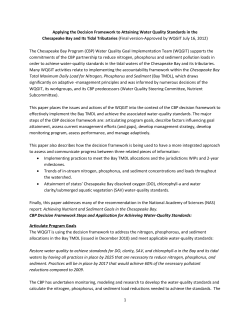 Applying the Decision Framework to Attaining Water Quality