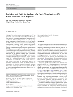 Isolation and Activity Analysis of a Seed