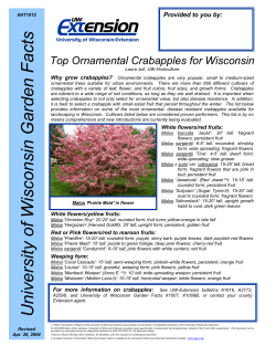 Crabapples for Wisconsin