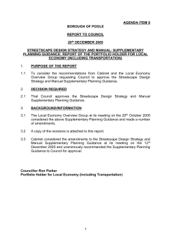 streetscape design strategy and manual