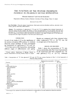 The function of the pentose phosphate pathway in