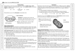 Photosynthesis respiration