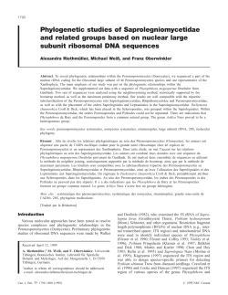 Phylogenetic studies of Saprolegniomycetidae and related groups