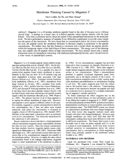 Membrane thinning caused by magainin 2