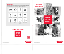 SPECIFIC FOR YOUR SUCCESS - Lallemand Animal Nutrition