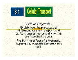 Section Objectives Explain how the processes of diffusion, passive